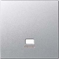 Zentralplatte aluminium MEG3380-0460