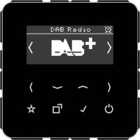 Smart DAB+ Digitalradio DAB CD SW schwarz