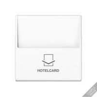 Hotelcard-Schalter A 590 CARD anthrazit matt