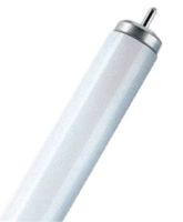 Leuchtstofflampe T12 45237