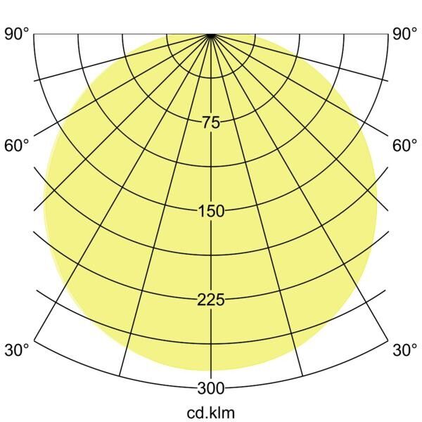 LED-Anbauleuchte 12575073