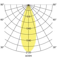 LED-Anbauleuchte P+L 12703173