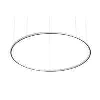 LED-Pendel-Ringleuchte 84014173