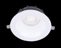 LED-Downlight Downli #540001334100