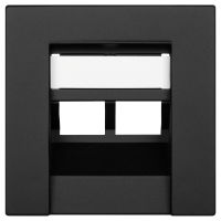 Zentralplatte für 2-fach-UAE-Steckdose K55 schwarz matt