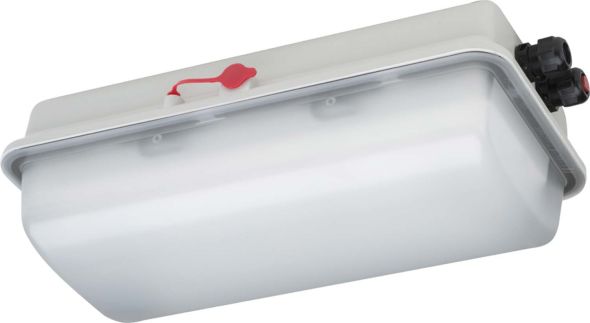 LED-Ex-Notleuchte e856F L05/3/2,5