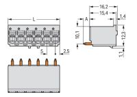 1-Leiter-THT-Federleiste 2092-1173/000-1000