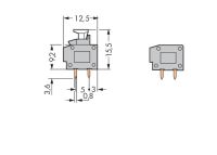 2LeiterLeiterplattenklemme 235-551/333-000