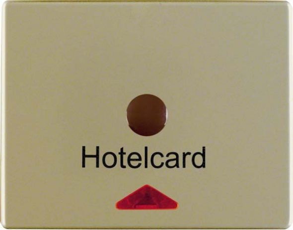 Hotelcardschalter 16419011 hellbronze matt lackiert