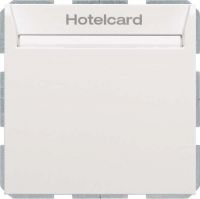Relais-Schalter Hotelcard 16409909 polarweiß matt