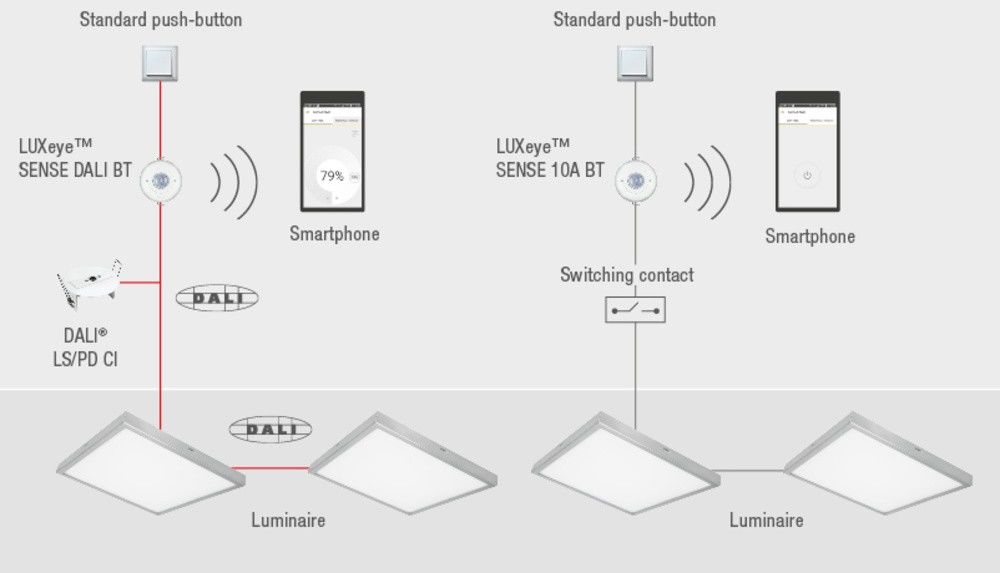 Präsenzmelder LUXEYE SENSE DALI BT