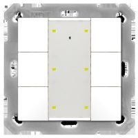 Taster Plus TS 55 6-fach BE-TA55T6.G2