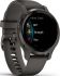 Smartwatch VENU 2S Gr/Schgr