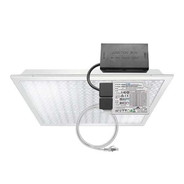 LED-Einlegeleuchte M625 CELINE-2 #EQ10132537