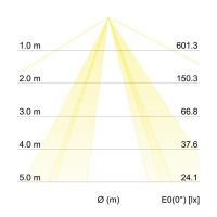 Anbauleuchte 58239000