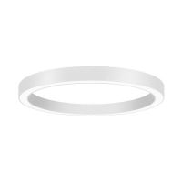 LED-Anbau-Ringleuchte 13561174