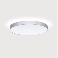 LED-Anbauleuchte BX1ASE-830M-D300