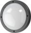 LED-Wandleuchte 643570