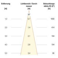 LED Downlight schwenkbar P65081340