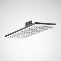 LED-Lichtträger LightP G2 #7111151