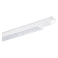 LED-Hallenleuchte 1,2m LBFLEX#4099854164118