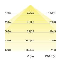 LED-Pendel-Ringleuchte 13620184