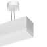 LED-Pendelleuchte MLP070118302AOVDA.ws