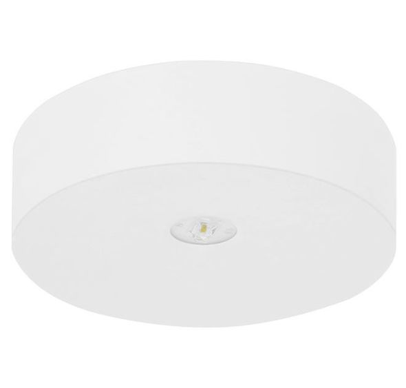 LED-Sicherheitsleuchte AXDE25I2