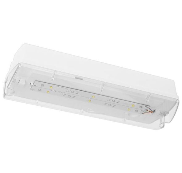 LED-Sicherheitsleuchte HAUE60I2