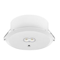 LED-Sicherheitsleuchte 3679-1