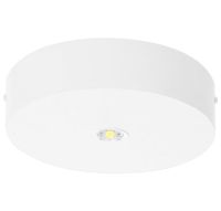 LED-Sicherheitsleuchte BRD319M.V2