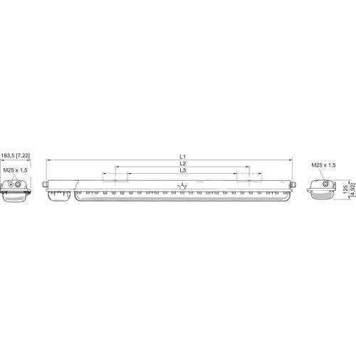 LED-Sicherheitsleuchte 6009/41282102#267866