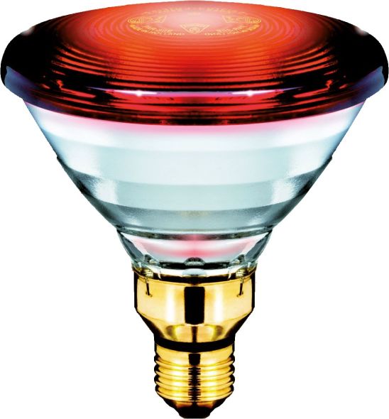 Infrarotlampe PAR38 PAR38IR150W#57535715