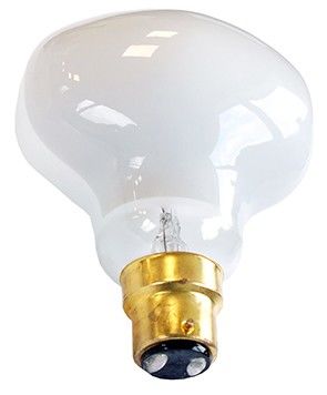 LED-Lampe B22d 31993