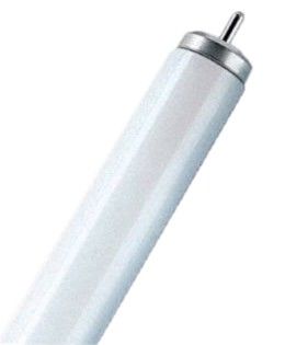 LED-Tube T12 45239