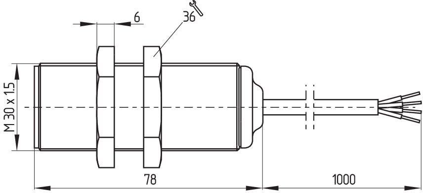 Schutztürüberwachung BNS 300-01ZG-ST