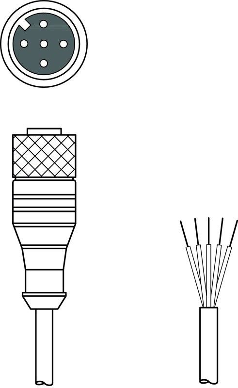 Anschlussleitung CB-M12-25000-5GF