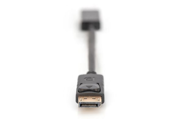 DisplayPort Adapterkabel AK-340400-001-S