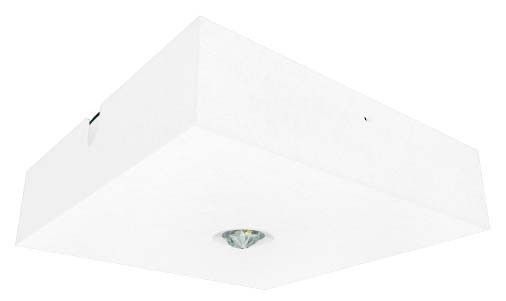 LED-Sicherheitsleuchte BQD319M