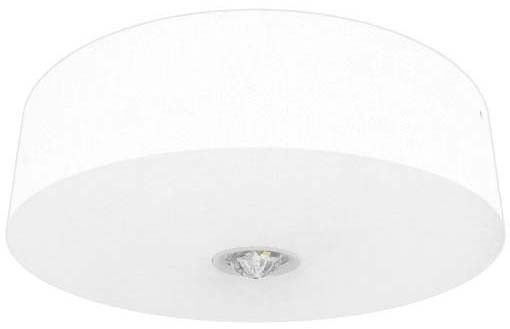 LED-Sicherheitsleuchte BRD319M