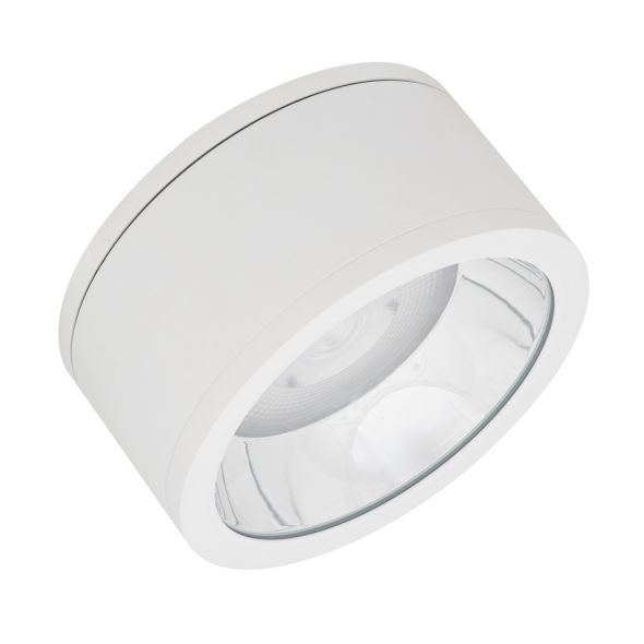 LED-Aufbaudownlight IP65 DLSU.DN250P4583036DW