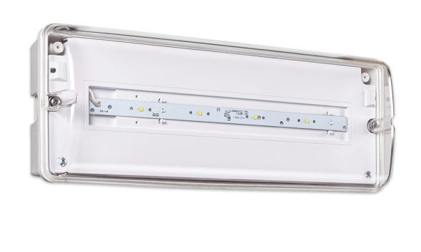 LED-Sicherheitsleuchte K44WR650096W