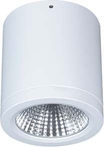 LED-Anbau-DownlightButton BTNM 101.30.55 ws