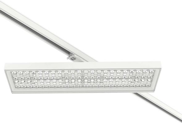 LED-Stromschienenstrahler 3101725