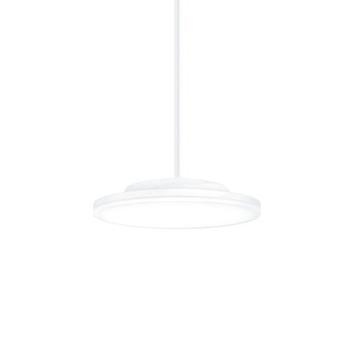 LED-Pendelleuchte CAELA RMS #60560039