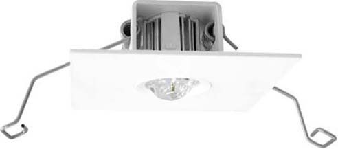 LED-Sicherheitsleuchte BQE319M