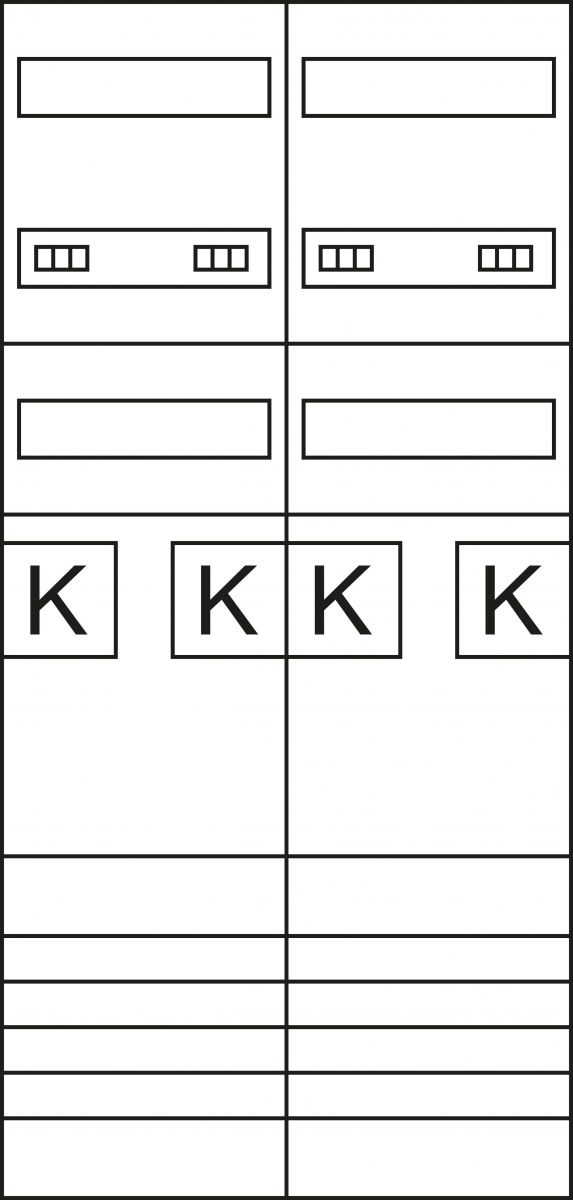 Komplettfeld ZK3ED24N eHZ,DSS 2-feld 