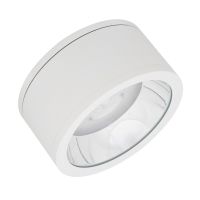 LED-Aufbaudownlight IP65 DLSU.DN250P4584060DW