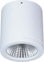 LED-Anbau-DownlightButton BTNM 101.30.55 ws