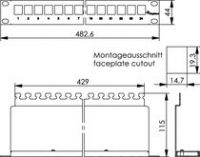 19Z Modulträger 1HE 100007021